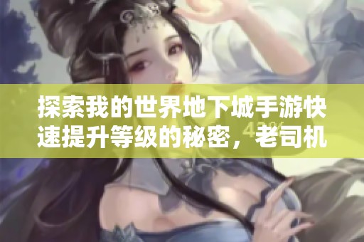 探索我的世界地下城手游快速提升等级的秘密，老司机教你轻松满级技巧