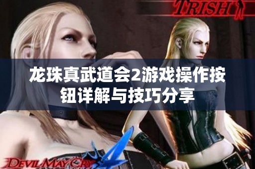 龙珠真武道会2游戏操作按钮详解与技巧分享