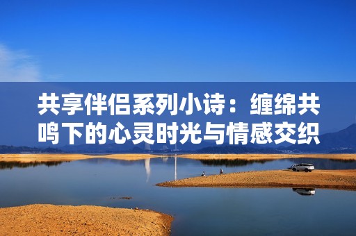 共享伴侣系列小诗：缠绵共鸣下的心灵时光与情感交织
