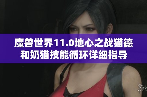 魔兽世界11.0地心之战猫德和奶猫技能循环详细指导