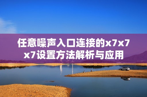 任意噪声入口连接的x7x7x7设置方法解析与应用