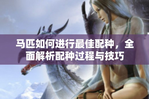 马匹如何进行最佳配种，全面解析配种过程与技巧