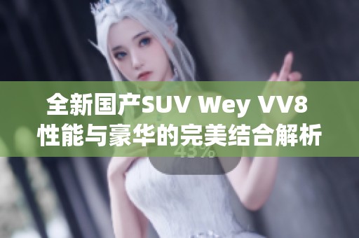 全新国产SUV Wey VV8 性能与豪华的完美结合解析