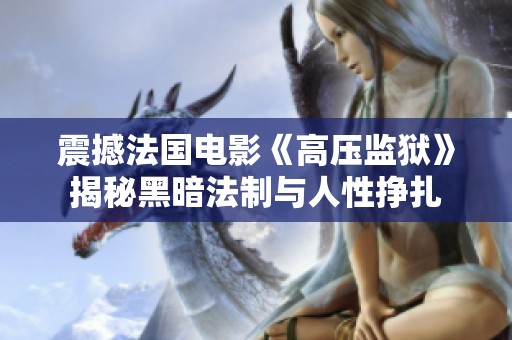 震撼法国电影《高压监狱》揭秘黑暗法制与人性挣扎