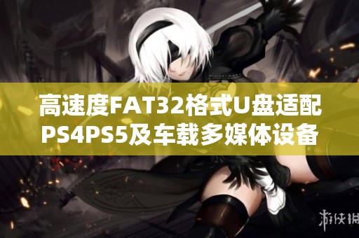 高速度FAT32格式U盘适配PS4PS5及车载多媒体设备使用