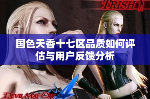 国色天香十七区品质如何评估与用户反馈分析