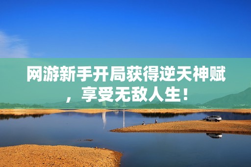 网游新手开局获得逆天神赋，享受无敌人生！