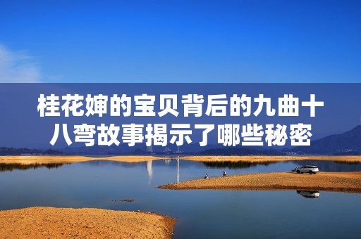 桂花婶的宝贝背后的九曲十八弯故事揭示了哪些秘密