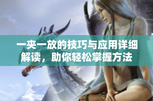 一夹一放的技巧与应用详细解读，助你轻松掌握方法