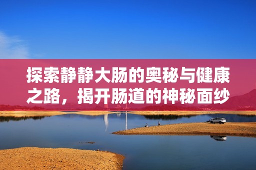 探索静静大肠的奥秘与健康之路，揭开肠道的神秘面纱