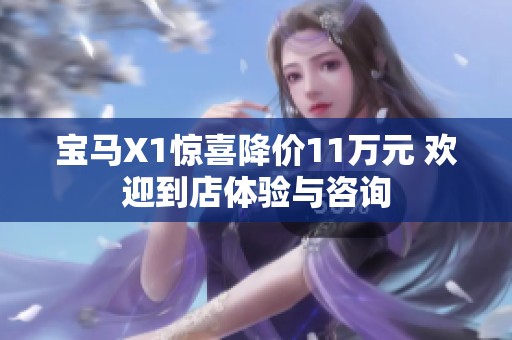 宝马X1惊喜降价11万元 欢迎到店体验与咨询