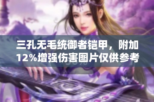 三孔无毛统御者铠甲，附加12%增强伤害图片仅供参考