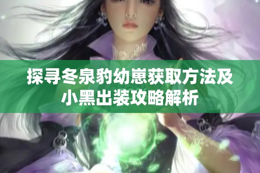 探寻冬泉豹幼崽获取方法及小黑出装攻略解析