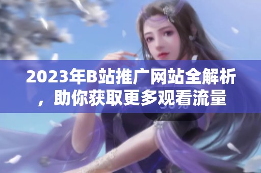 2023年B站推广网站全解析，助你获取更多观看流量