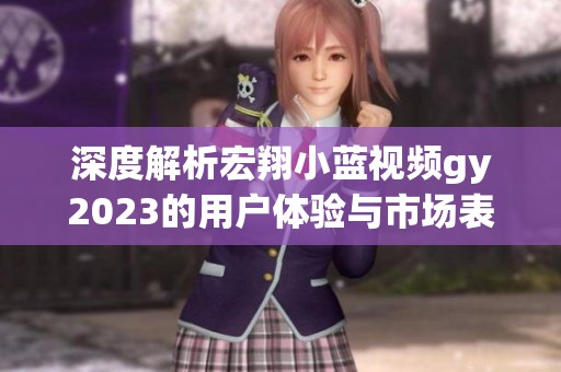 深度解析宏翔小蓝视频gy2023的用户体验与市场表现