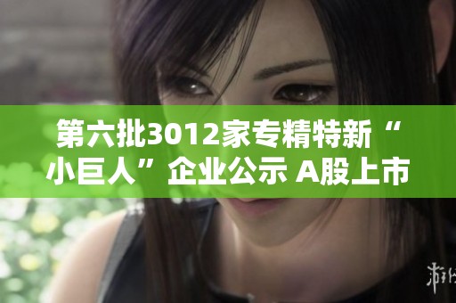 第六批3012家专精特新“小巨人”企业公示 А股上市企业达131家