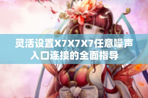灵活设置X7X7X7任意噪声入口连接的全面指导