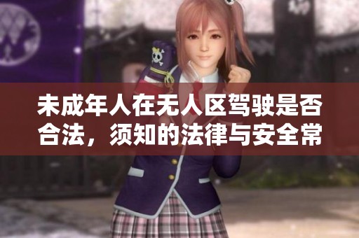 未成年人在无人区驾驶是否合法，须知的法律与安全常识