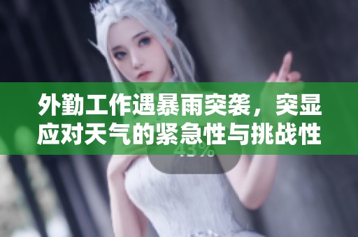 外勤工作遇暴雨突袭，突显应对天气的紧急性与挑战性