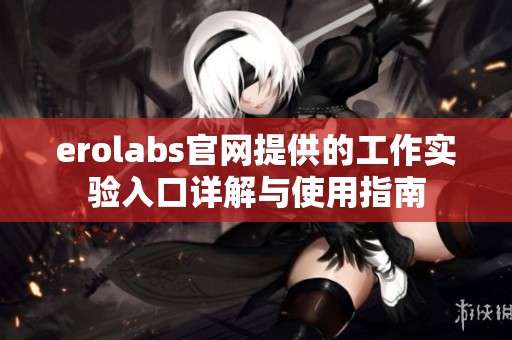erolabs官网提供的工作实验入口详解与使用指南