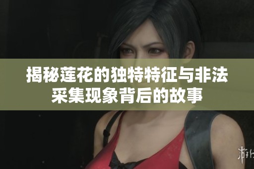 揭秘莲花的独特特征与非法采集现象背后的故事