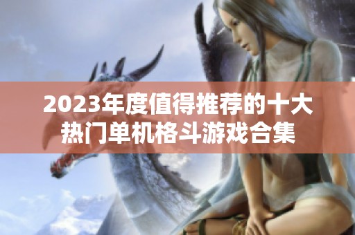 2023年度值得推荐的十大热门单机格斗游戏合集
