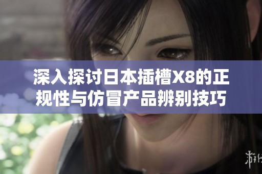 深入探讨日本插槽X8的正规性与仿冒产品辨别技巧
