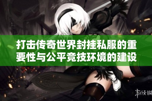 打击传奇世界封挂私服的重要性与公平竞技环境的建设