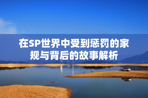在SP世界中受到惩罚的家规与背后的故事解析