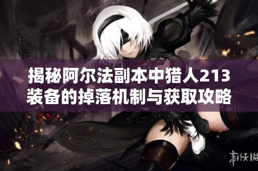 揭秘阿尔法副本中猎人213装备的掉落机制与获取攻略