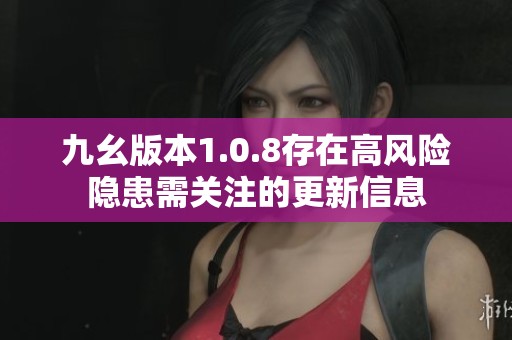 九幺版本1.0.8存在高风险隐患需关注的更新信息