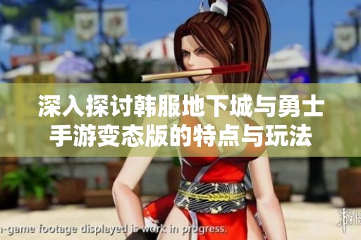 深入探讨韩服地下城与勇士手游变态版的特点与玩法