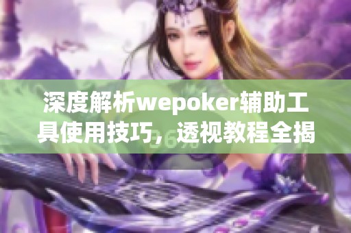 深度解析wepoker辅助工具使用技巧，透视教程全揭秘