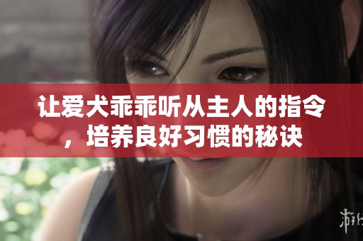 让爱犬乖乖听从主人的指令，培养良好习惯的秘诀