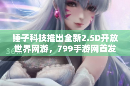 锤子科技推出全新2.5D开放世界网游，799手游网首发体验