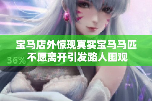 宝马店外惊现真实宝马马匹 不愿离开引发路人围观