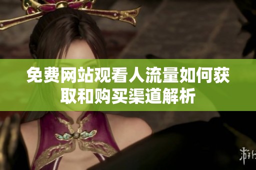 免费网站观看人流量如何获取和购买渠道解析