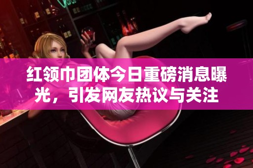 红领巾团体今日重磅消息曝光，引发网友热议与关注