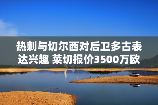热刺与切尔西对后卫多古表达兴趣 莱切报价3500万欧元