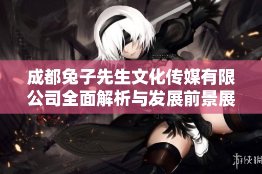 成都兔子先生文化传媒有限公司全面解析与发展前景展望