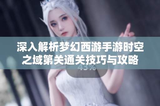 深入解析梦幻西游手游时空之域第关通关技巧与攻略