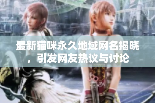 最新猫咪永久地域网名揭晓，引发网友热议与讨论