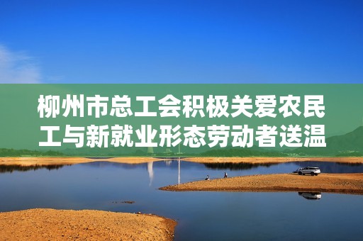 柳州市总工会积极关爱农民工与新就业形态劳动者送温暖活动启动