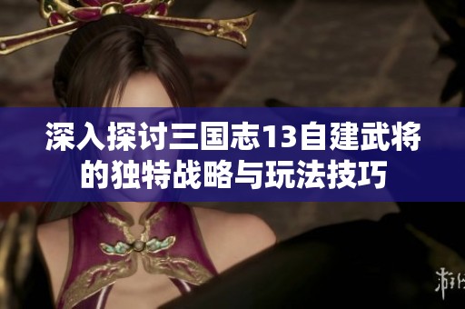 深入探讨三国志13自建武将的独特战略与玩法技巧