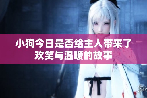 小狗今日是否给主人带来了欢笑与温暖的故事