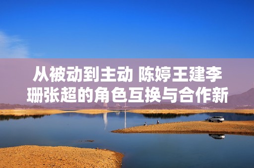 从被动到主动 陈婷王建李珊张超的角色互换与合作新模式