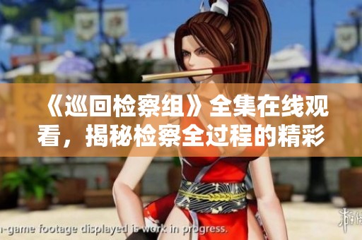 《巡回检察组》全集在线观看，揭秘检察全过程的精彩故事