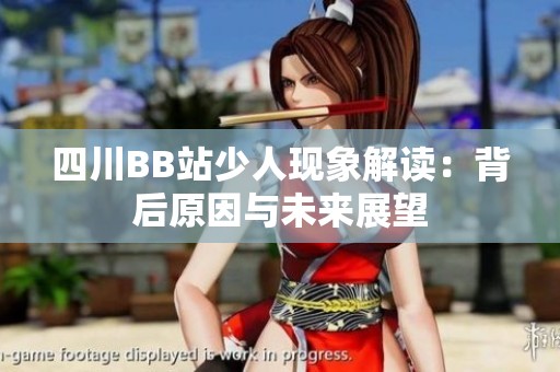 四川BB站少人现象解读：背后原因与未来展望