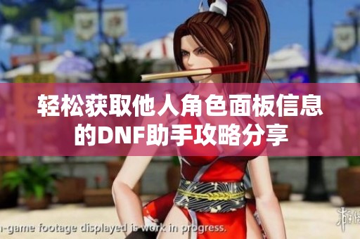 轻松获取他人角色面板信息的DNF助手攻略分享