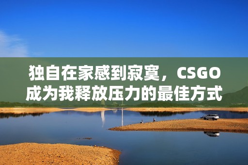 独自在家感到寂寞，CSGO成为我释放压力的最佳方式